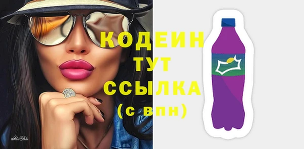 индика Абинск