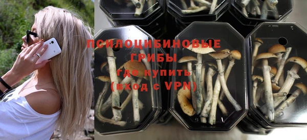 первитин Покачи