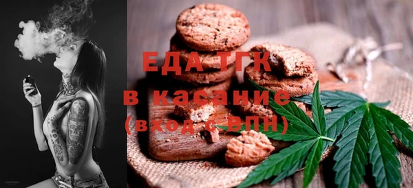 индика Абинск