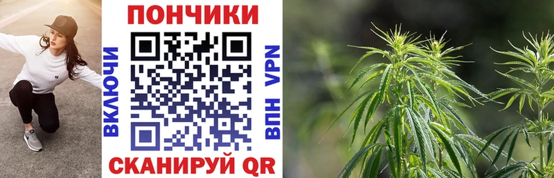 Бошки марихуана SATIVA & INDICA  mega онион  Суоярви  купить наркотик 